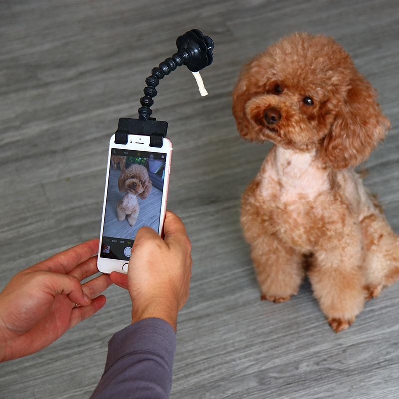 Pet Selfie Stick - Arovion