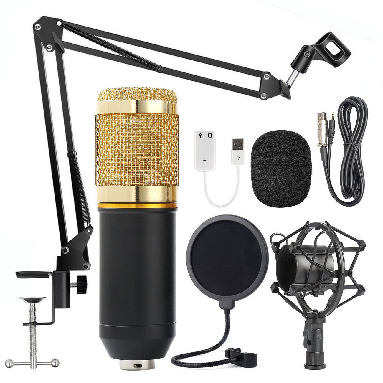 Shouting Microphone Recording Live K Song Podcast - Arovion